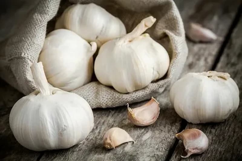 سیر خراسان بلند عطر کوهستان و طعمی ماندگار